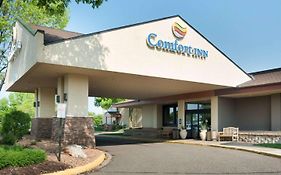 Comfort Inn And Suites Plymouth Mn